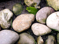 Close up photo of rocks in a stream